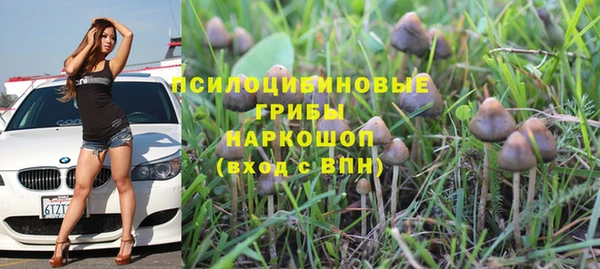 прущие крисы Алексеевка