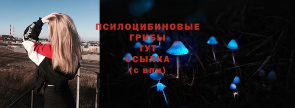 круглые Алексин
